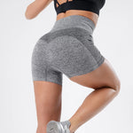 FC Seamless shorts - Fitness Cult 